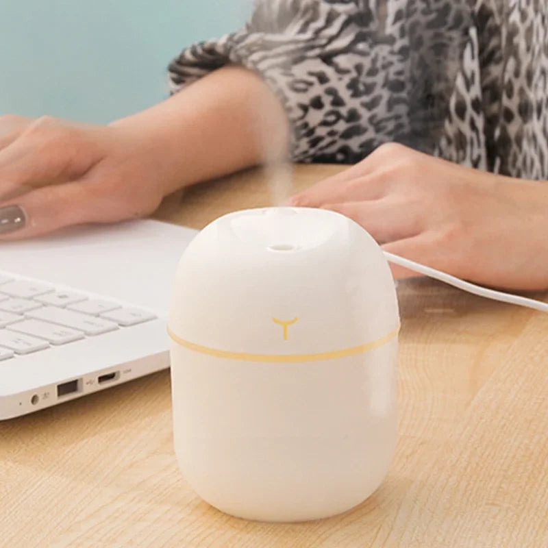Portable USB Mini Humidifier with Night Light