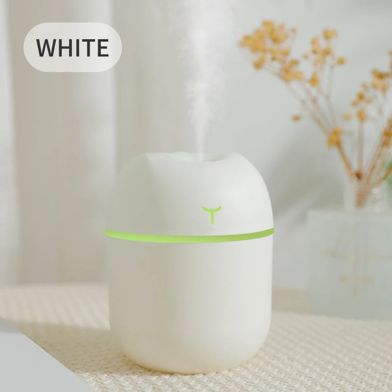 Portable USB Mini Humidifier with Night Light